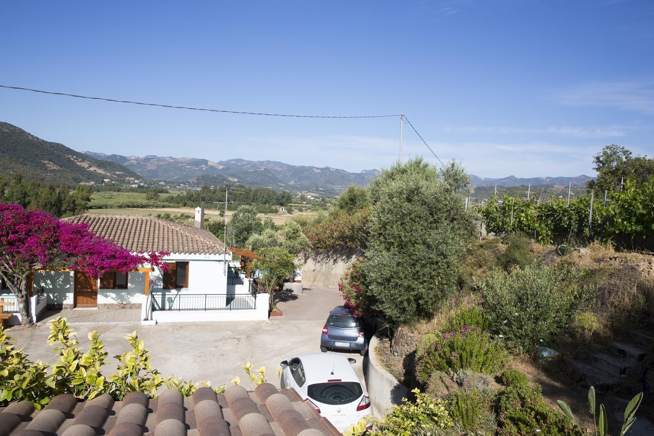 La Corte Degli Ulivi كارديدو المظهر الخارجي الصورة